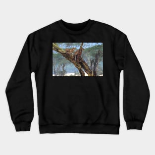 Young Lions in a Tree Crewneck Sweatshirt